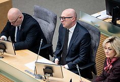 Tomas Davulis