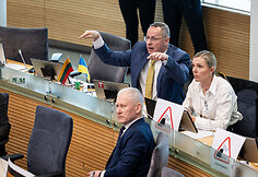 Žygimantas Pavilionis, Agnė Bilotaitė