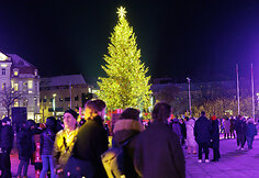 2026-ųjų metų sutikimas Katedros aikštėje