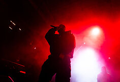 Vilniuje savo turo &bdquo;The Docummentary 20th Anniversary Tour&ldquo; koncertą surengė legendinis JAV reperis THE GAME