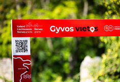 Gyvos vietos kūrybi&scaron;kumo centre &bdquo;Pragiedruliai&ldquo;