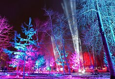 „Magic Forrest“ šviesų festivalis