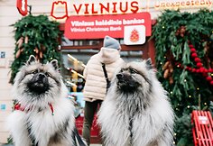 Vilniaus kalėdiškiausia diena