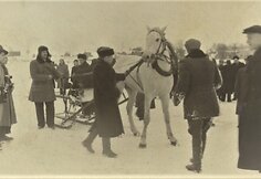 Sartų žirgų lenktynės