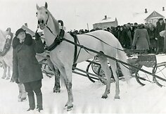 Sartų žirgų lenktynės