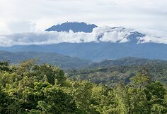 Kinabalu kalnas, Borneo, Malaizija