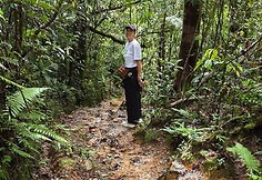 Kinabalu parko takeliais paskui Ingą, Borneo, Malaizija