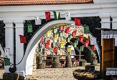 Gėlės Pakruojo dvare