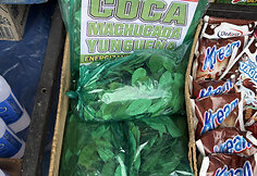 Bolivija