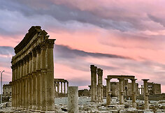 Palmyra