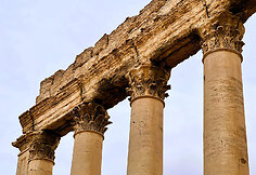Palmyra