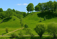 &bdquo;Baltų kelias&ldquo;