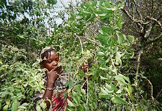 Tanzanija