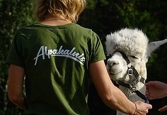 „Alpakalnis“