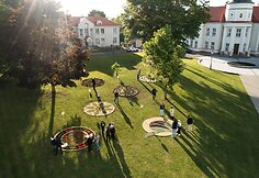 Floristiniai kilimai Telšiuose