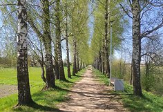 &Scaron;irvintos takas