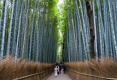 Japonija