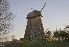 Giedraičių vėjo malūnas (Radvili&scaron;kio r.)