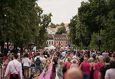 Vilniaus &scaron;altibar&scaron;čių festivalis, 2024 m.