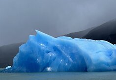Pečiulių kelionė į Argentiną