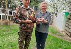 Ingridos ir Roberto Dabužinskų &bdquo;Mažųjų draugų&ldquo; ūkis
