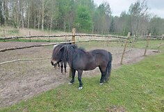 Ingridos ir Roberto Dabužinskų &bdquo;Mažųjų draugų&ldquo; ūkis