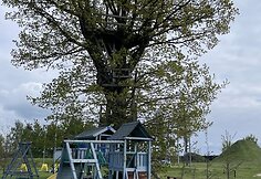 Sveikatingumo centras