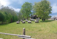 Senovinės bitininkystės muziejus