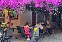 Urla