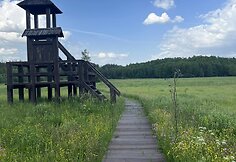 Ančios &scaron;iaurinės apyežerės pažintinis takas Veisiejų regioniame parke