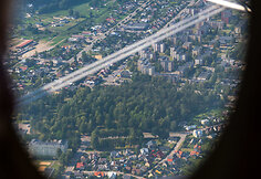 Pociūnai
