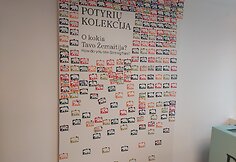 Žemaičių muziejus „Alka“