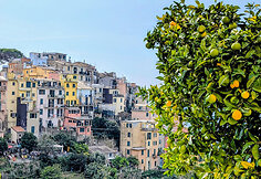 Cinque Terre regionas, Italija