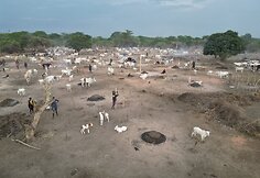 Mundari gentis, Pietų Sudanas