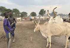 Mundari gentis, Pietų Sudanas