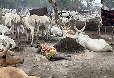 Mundari gentis, Pietų Sudanas