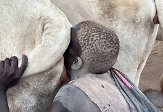 Mundari gentis, Pietų Sudanas