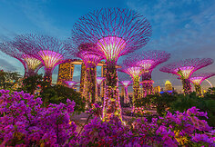 Singapūro sodai (Gardens by the Bay) 