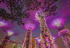 Singapūro sodai (Gardens by the Bay) 