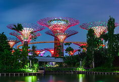 Singapūro sodai (Gardens by the Bay) 