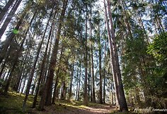 Kairiojo Neries kranto turizmo trasa