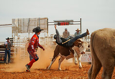 Rodeo Vait Klifse, Pietų Australija