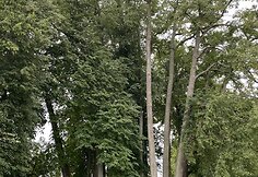 Sirvėtos regioninio parko Mitologinis takas