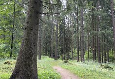 Sirvėtos regioninio parko Mitologinis takas
