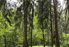 Sirvėtos regioninio parko Mitologinis takas