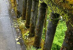 Kelionė po Oregono valstiją, JAV