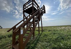 Paukščių takai