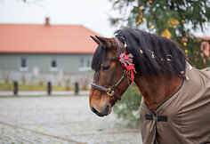 Kurtuvėnų dvaro sodyba