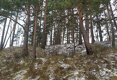 Čia buvo karių žeminės