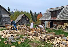 Lietuvių talka veterano sodyboje
